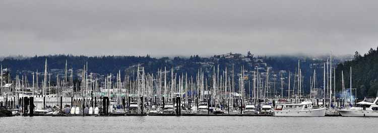 small-boat harbor
